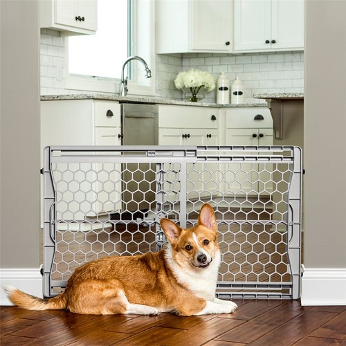 Carlson pet plastic - 23”,