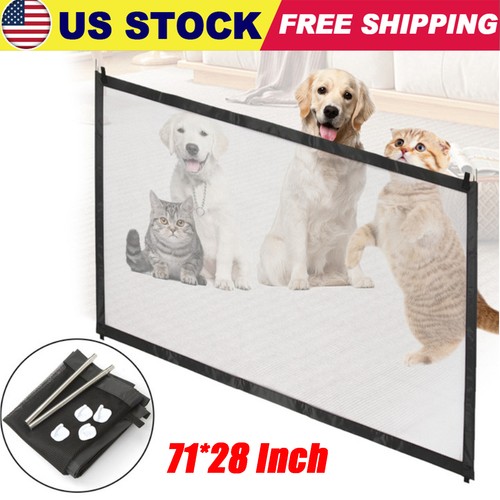 Pets dog cat - cat, safety