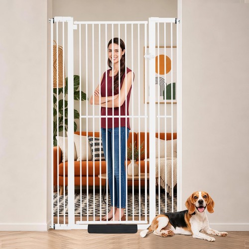 Extra tall pet - tall,