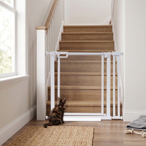 Tall clear acrylic - clear, dog