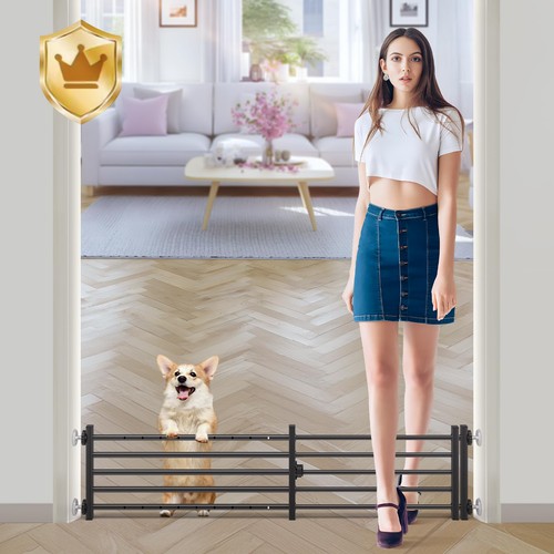 Indoor dog gate - dog, door