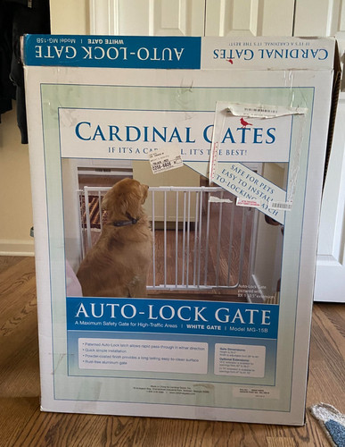 Baby pet safety - pet,