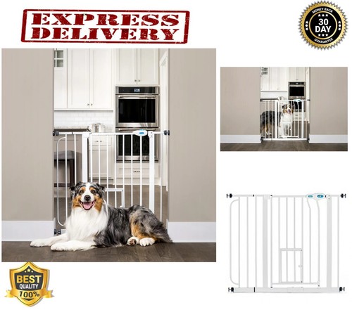 Baby gate with pet - door, dog