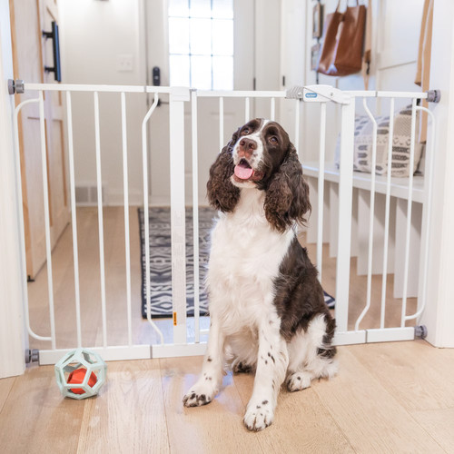White metal walk thru pet - pet, gate