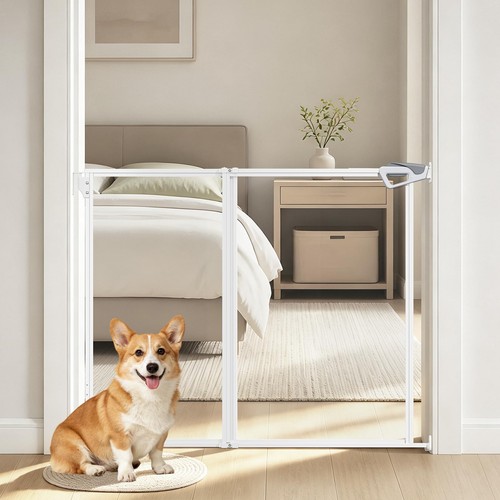 Tall clear acrylic dog - acrylic,