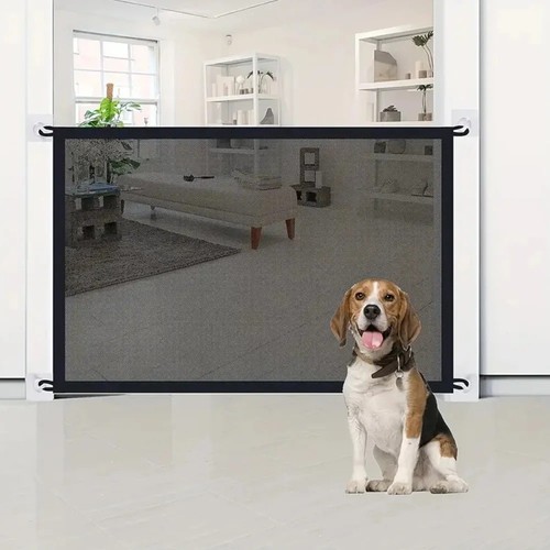 Large pet dog baby - pet,