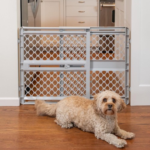 North states toddler baby pet - toddler,