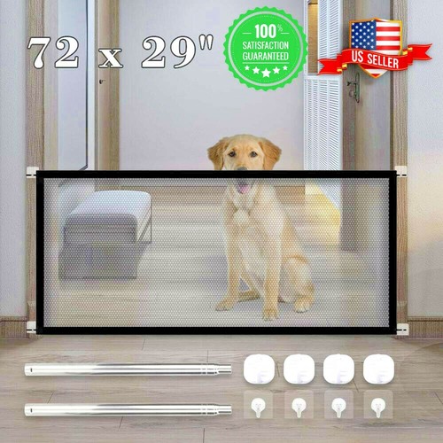 Pets dog cat - pets,
