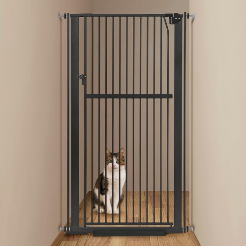 Extra tall pet - extra,