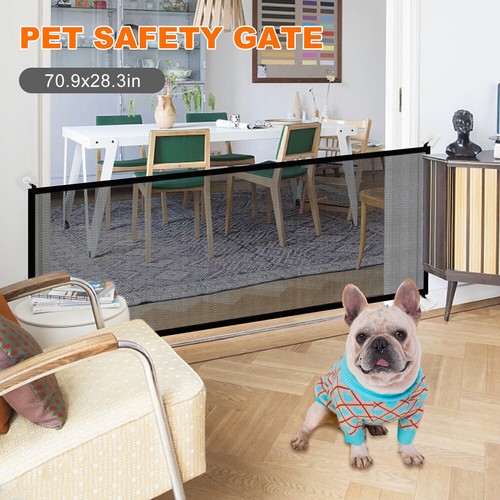 Large pet dog baby - large,