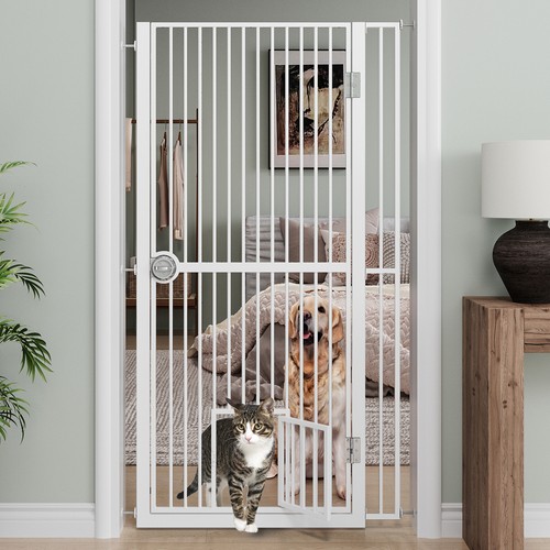 Pet dog cat - pet, gate