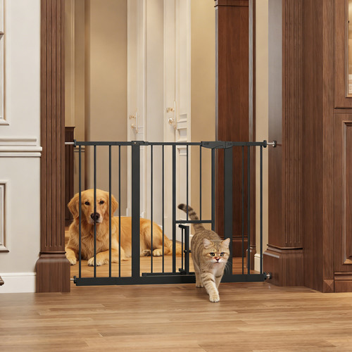 Baby gate with cat - gate,