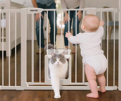 Baby pet safety gate - baby, cat