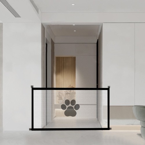 Small pet dog baby safety - dog,