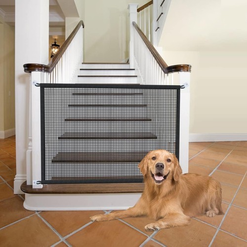 Dog gate for stairs - dog, gates