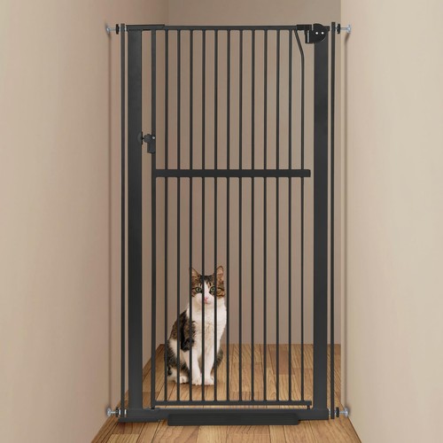 Extra tall pet - extra,