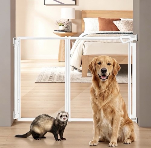 Clear dog gate - 28-43.5", wide