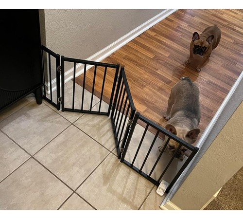 Bfnn small dog - dog, up
