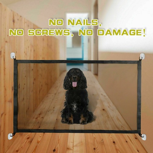New large pet dog baby - pet,