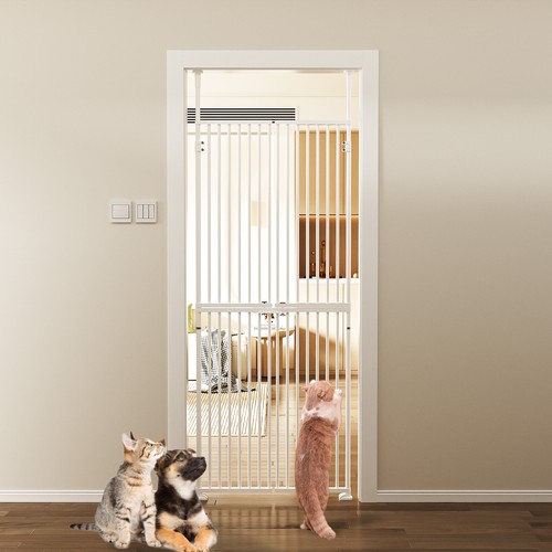 Cat gate extra tall - cat,