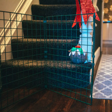 Indoor Dog Fence Barrier