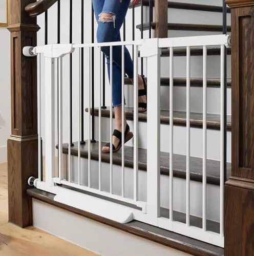 Pet dog gate - dog, close