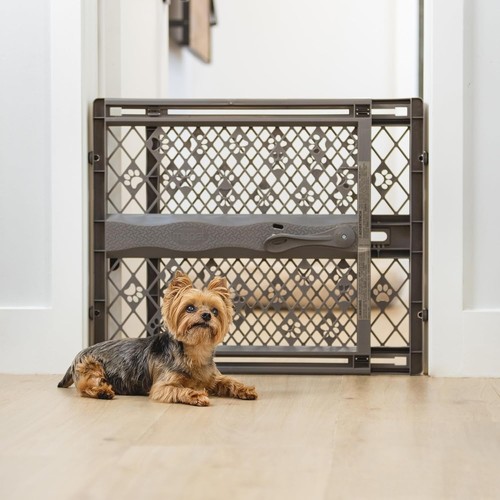 Mypet north states - mypet, paws